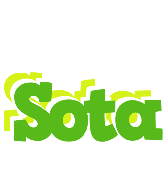 Sota picnic logo