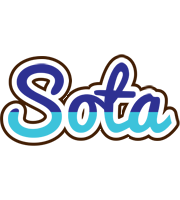 Sota raining logo