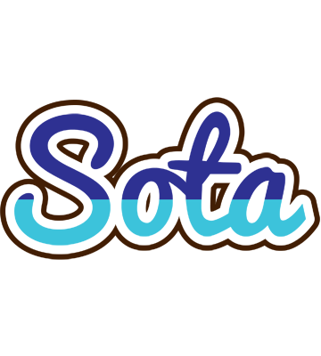Sota raining logo