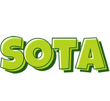 Sota summer logo