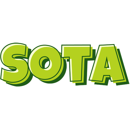 Sota summer logo
