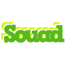 Souad picnic logo