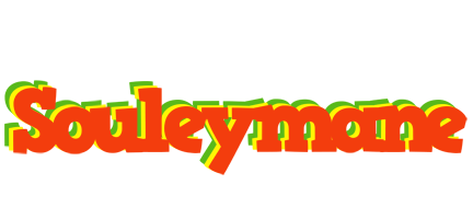Souleymane bbq logo