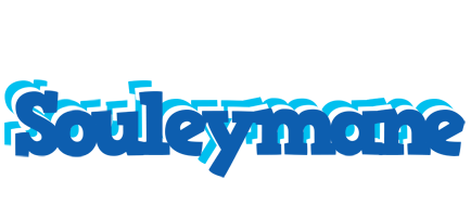 Souleymane business logo