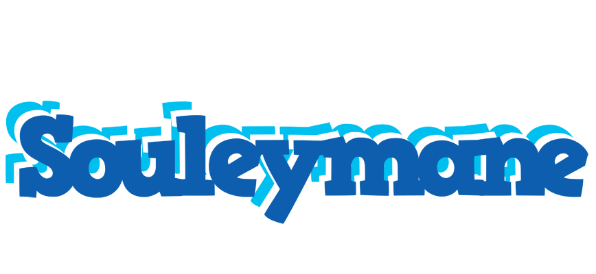 Souleymane business logo