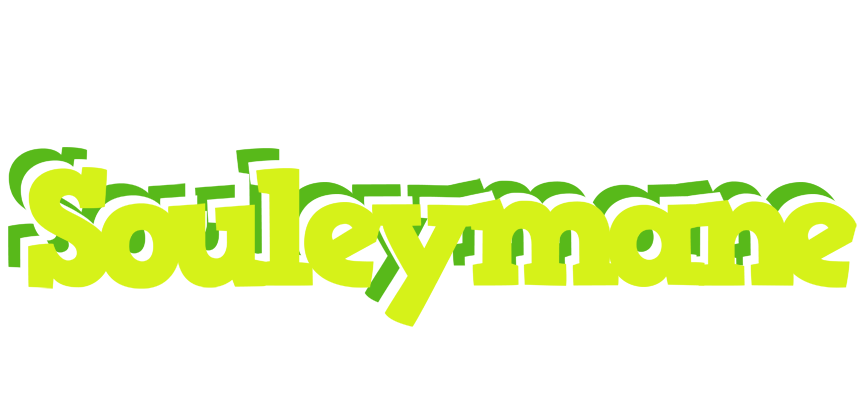 Souleymane citrus logo