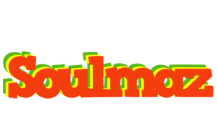 Soulmaz bbq logo