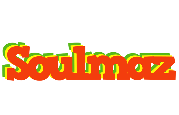 Soulmaz bbq logo