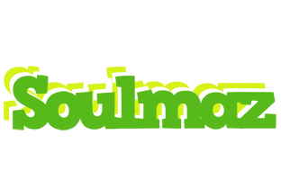 Soulmaz picnic logo
