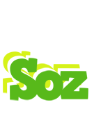 Soz picnic logo