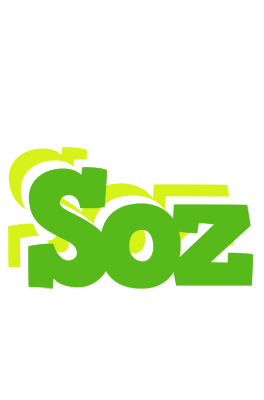 Soz picnic logo