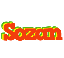 Sozan bbq logo