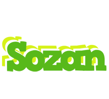 Sozan picnic logo