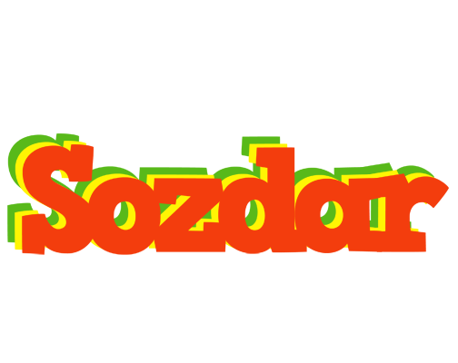 Sozdar bbq logo