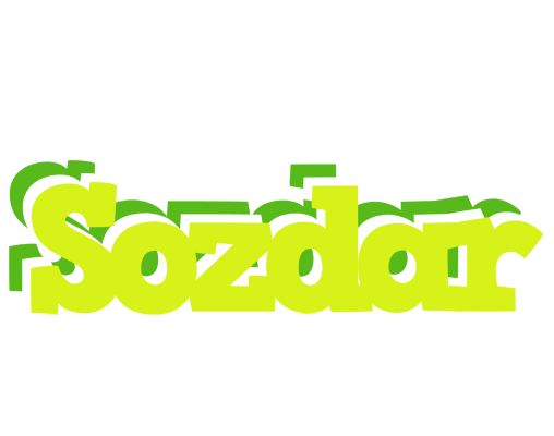 Sozdar citrus logo