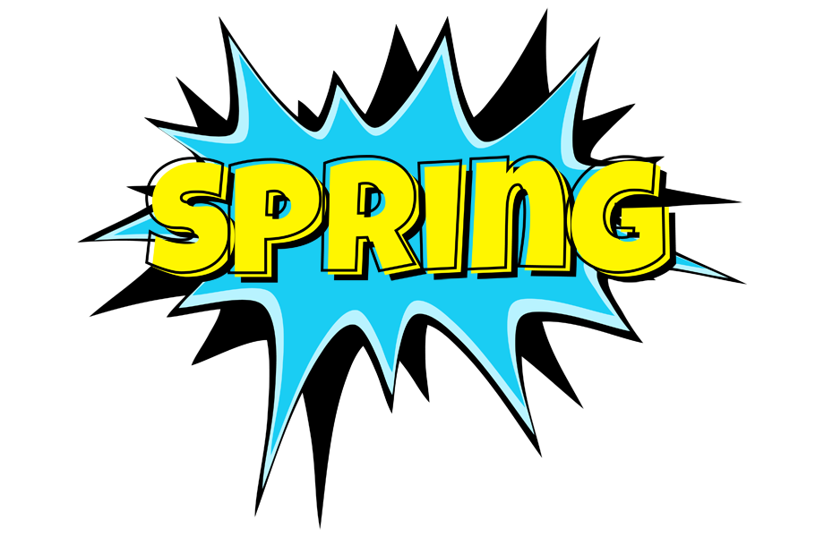 Spring amazing logo