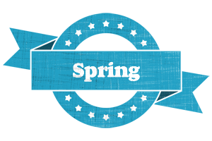 Spring balance logo