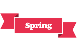 Spring sale logo