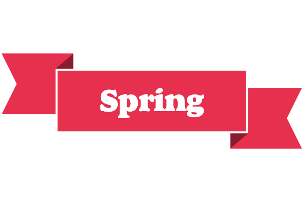 Spring sale logo