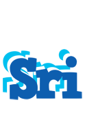 Sri business logo