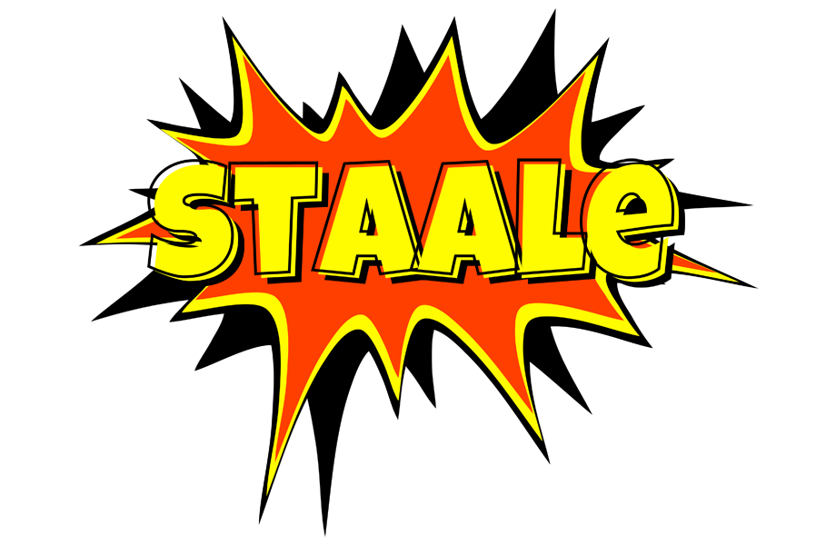 Staale bazinga logo