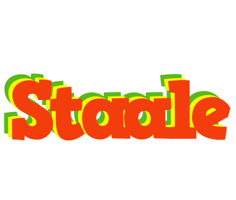 Staale bbq logo