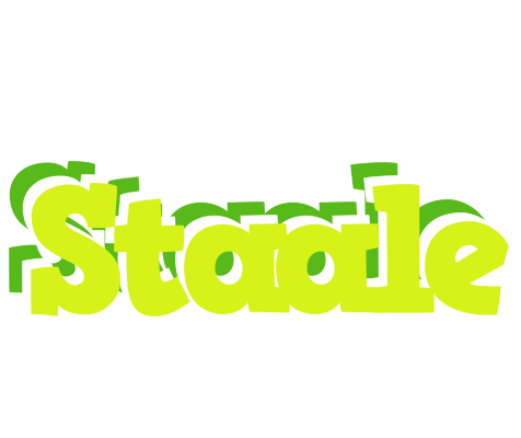 Staale citrus logo