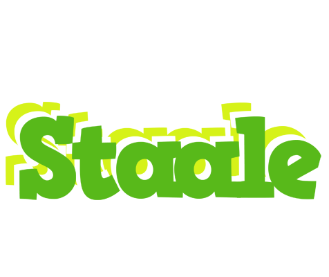 Staale picnic logo