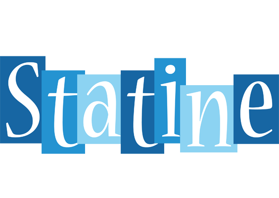 Statine winter logo