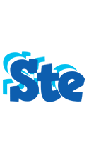 Ste business logo