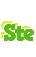 Ste picnic logo