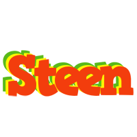 Steen bbq logo