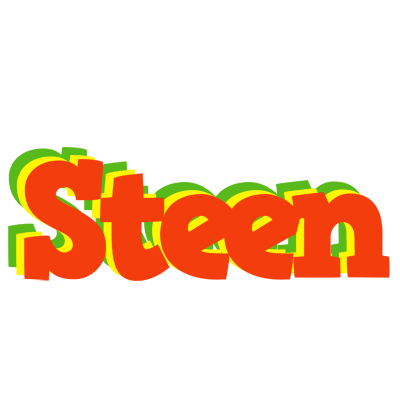 Steen bbq logo