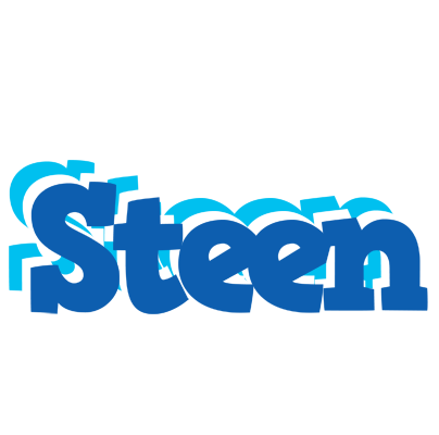 Steen business logo
