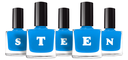Steen glossy logo