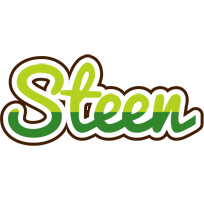 Steen golfing logo