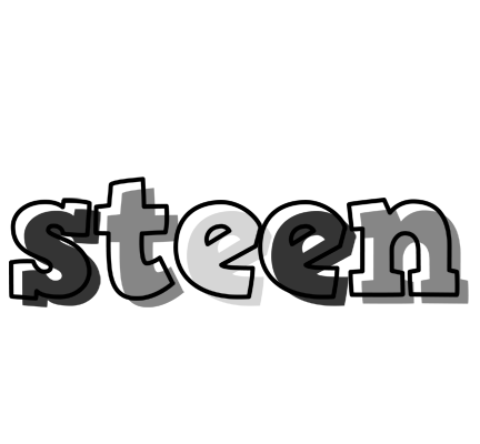 Steen night logo