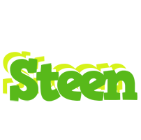 Steen picnic logo