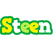 Steen soccer logo
