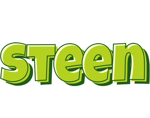 Steen summer logo