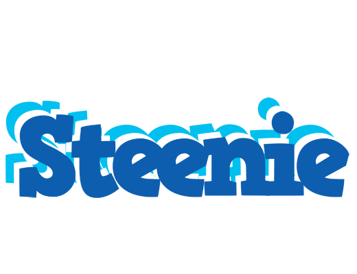 Steenie business logo