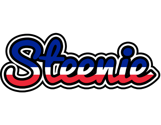 Steenie france logo