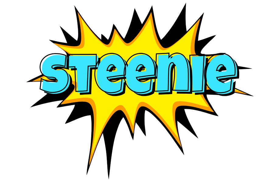 Steenie indycar logo
