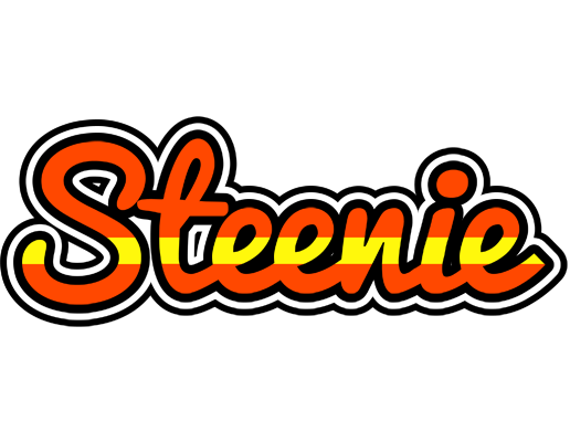 Steenie madrid logo
