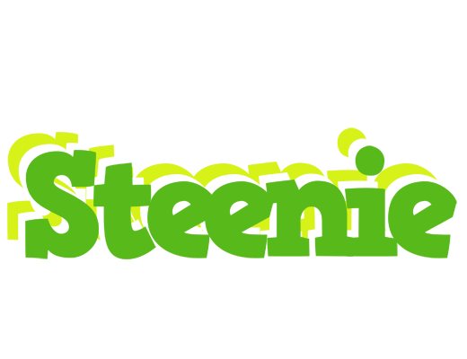 Steenie picnic logo