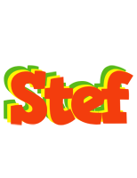 Stef bbq logo