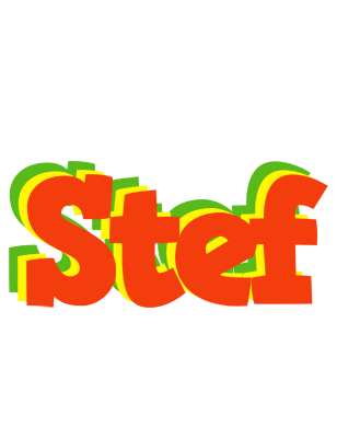 Stef bbq logo