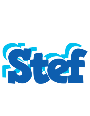 Stef business logo