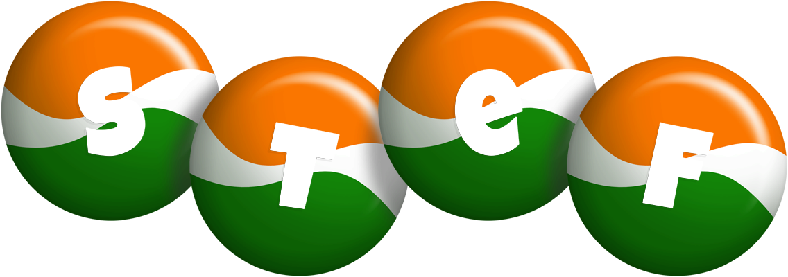 Stef india logo