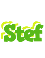 Stef picnic logo